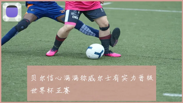 贝尔信心满满称威尔士有实力晋级世界杯正赛