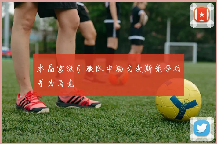 水晶宫欲引狼队中场戈麦斯竞争对手为马竞